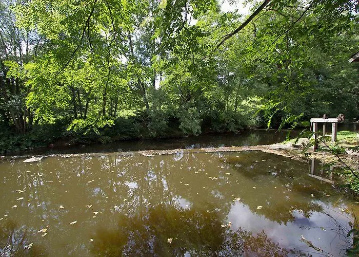 Le Moulin Du Cluzeau Thollet